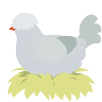 A mist and silver chicken with a half-lace pattern