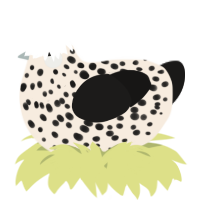 A cream and sable chicken with a speckle pattern