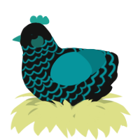 A black and teal chicken with a lace pattern