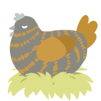 A ash and gold chicken with a bar pattern