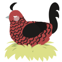 A red and sable chicken with a lace pattern