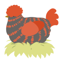 A grey and vermilion chicken with a bar pattern