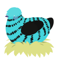 Blue Raspberry, a aqua and black chicken with a bar pattern