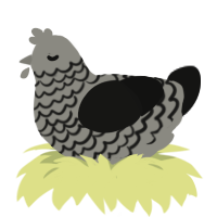 cottonball AIWMNPO, a ash and black chicken with a lace pattern