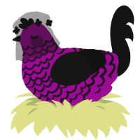 A plum and black chicken with a lace pattern