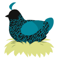 (unnamed), a black and sea chicken with a double-lace pattern