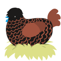 A sable and russet chicken with a lace pattern