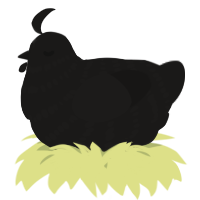 A sable chicken with a bar pattern
