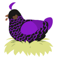 A sable and violet chicken with a lace pattern