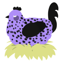 A lilac and black chicken with a speckle pattern