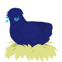 A navy chicken with a bar pattern