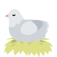 Pidge, a mist chicken with a head pattern