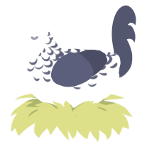 Riverbank, a silver and navy chicken with a half-lace pattern