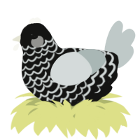 A black and silver chicken with a lace pattern