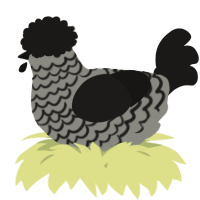 A ash and sable chicken with a lace pattern