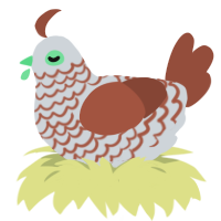A mist and russet chicken with a lace pattern