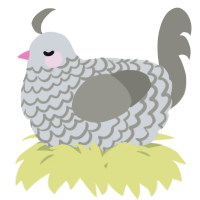 A mist and ash chicken with a lace pattern