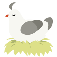 A white and ash chicken