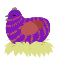 A violet and red chicken with a bar pattern