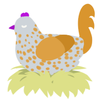 A mist and orange chicken with a speckle pattern