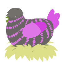A grey and orchid chicken with a bar pattern