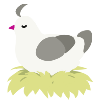 A white and ash chicken