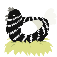A black and white chicken with a bar pattern
