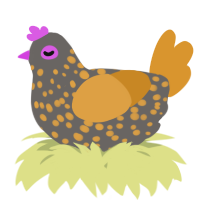 A grey and orange chicken with a speckle pattern