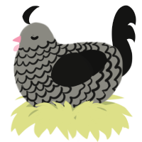 A ash and black chicken with a lace pattern