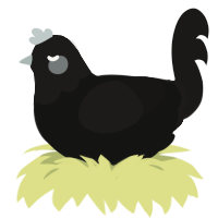 A black and sable chicken with a head pattern