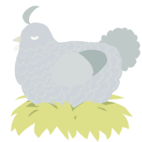 A mist and silver chicken with a lace pattern
