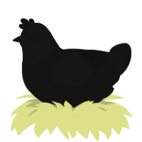 tarmac, a black chicken with a head pattern