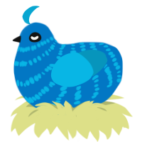 Jaz, a sapphire and cerulean chicken with a bar pattern