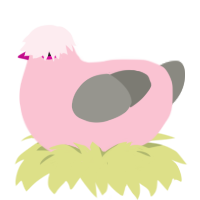 Dragonfruit, a rose and ash chicken