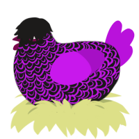 Purple Goth, a sable and amethyst chicken with a double-lace pattern