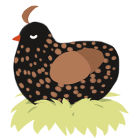 A sable and brown chicken with a speckle pattern