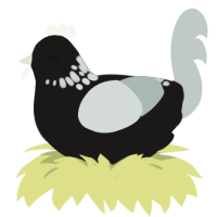 grayspeckle tbn, a sable and silver chicken with a neck-speckle pattern