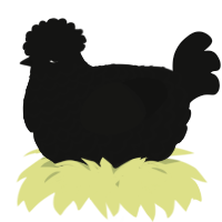 A black chicken with a lace pattern