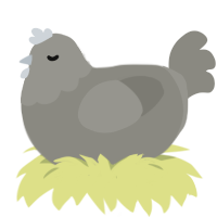smooth stoned, a ash chicken with a head pattern