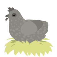 A ash chicken with a speckle pattern