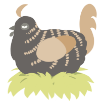 A grey and beige chicken with a half-bar pattern