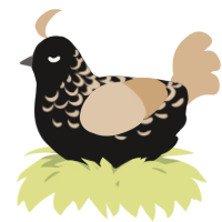 A sable and beige chicken with a half-lace pattern