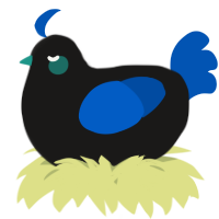 A sable and ultramarine chicken