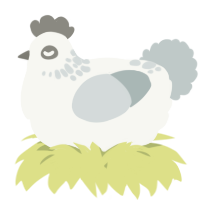 A white and silver chicken with a neck-speckle pattern