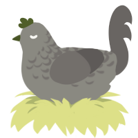 A ash and grey chicken with a half-lace pattern