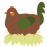 A russet and olive chicken with a bar pattern