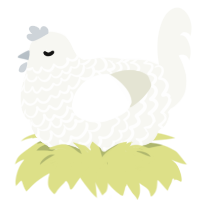 cottonball, a white chicken with a lace pattern