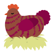 A russet and maroon chicken with a bar pattern