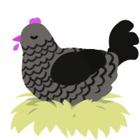 A grey and black chicken with a lace pattern