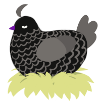 A black and grey chicken with a lace pattern